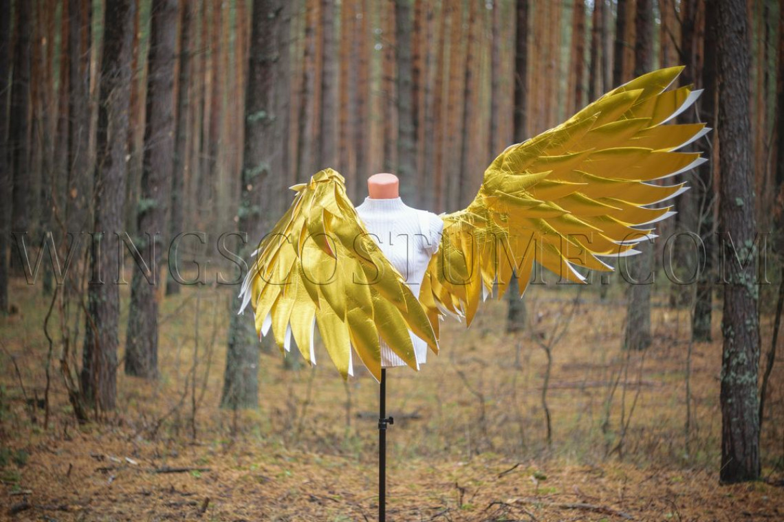 Buy realistic angel wings costume "Golden rain mini"